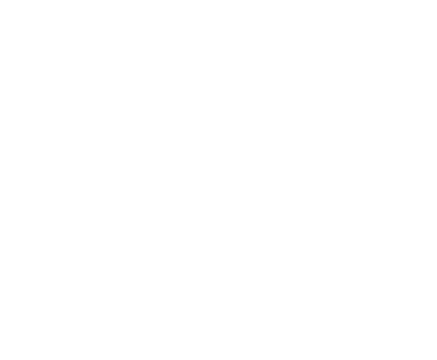 Smartpass Technology